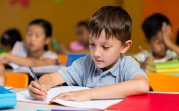 幼儿园中班心得体会参考8篇