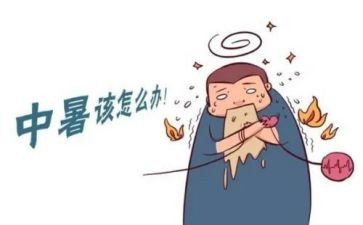 高中暑假心得体会模板6篇