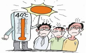 高中暑假调查报告8篇