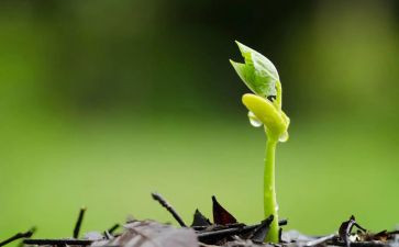 种子公司年度工作总结6篇