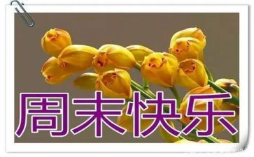 周末作文通用7篇