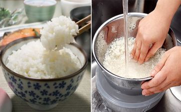 煮饭的作文400字作文5篇