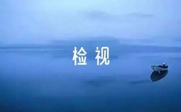 自检自查工作报告参考6篇