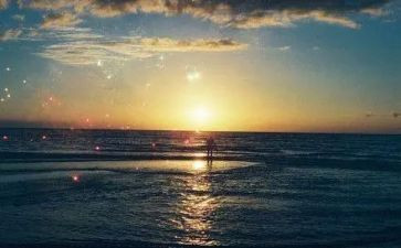 自然教育的教案8篇