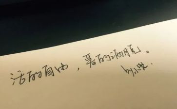 爱和自由心得5篇