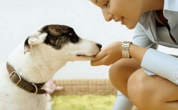 走进记忆深处作文5篇