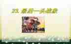 人教版六年级上册语文《最后一头战象》教案7篇