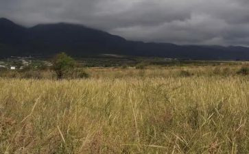出租房屋租赁合同8篇(租赁精华八篇：完美房屋合同指南)