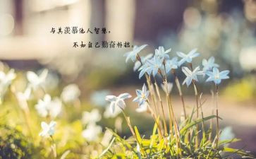 做最好老师读后感7篇