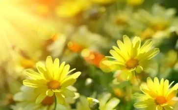 做最好老师读后感优质8篇